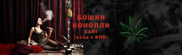 гидра Лагань