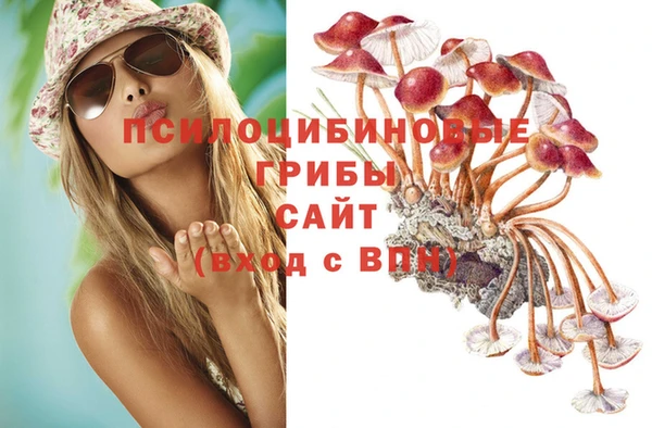 гидра Лагань