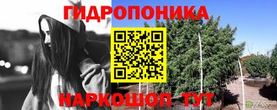 сатива Кумертау