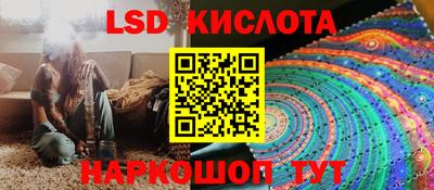 дживик Нальчик
