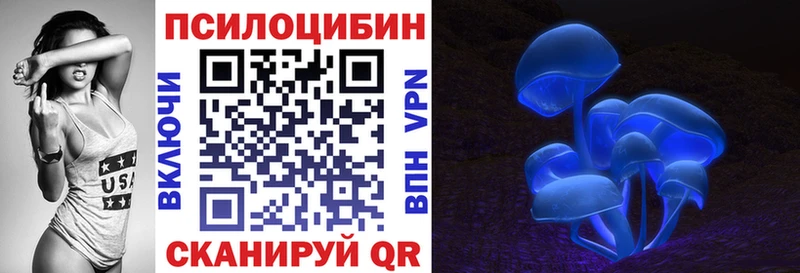 Псилоцибиновые грибы прущие грибы  купить наркотики сайты  Юрга 