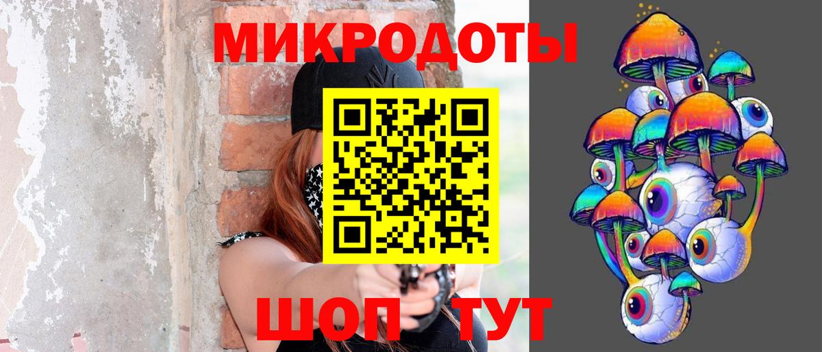 Псилоцибиновые грибы Psilocybe Юрга