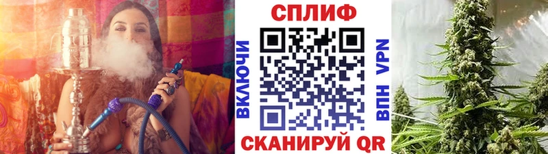 сколько стоит  Юрга  MEGA ССЫЛКА  Шишки марихуана семена 